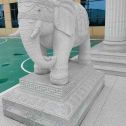 商洛 白麻花岗岩动物异形石雕-大象