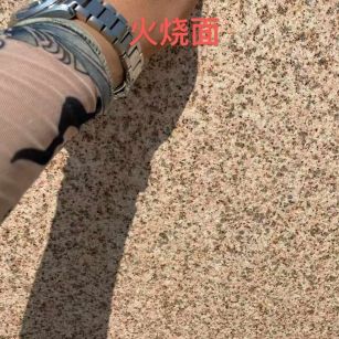 商洛黄金麻火烧面