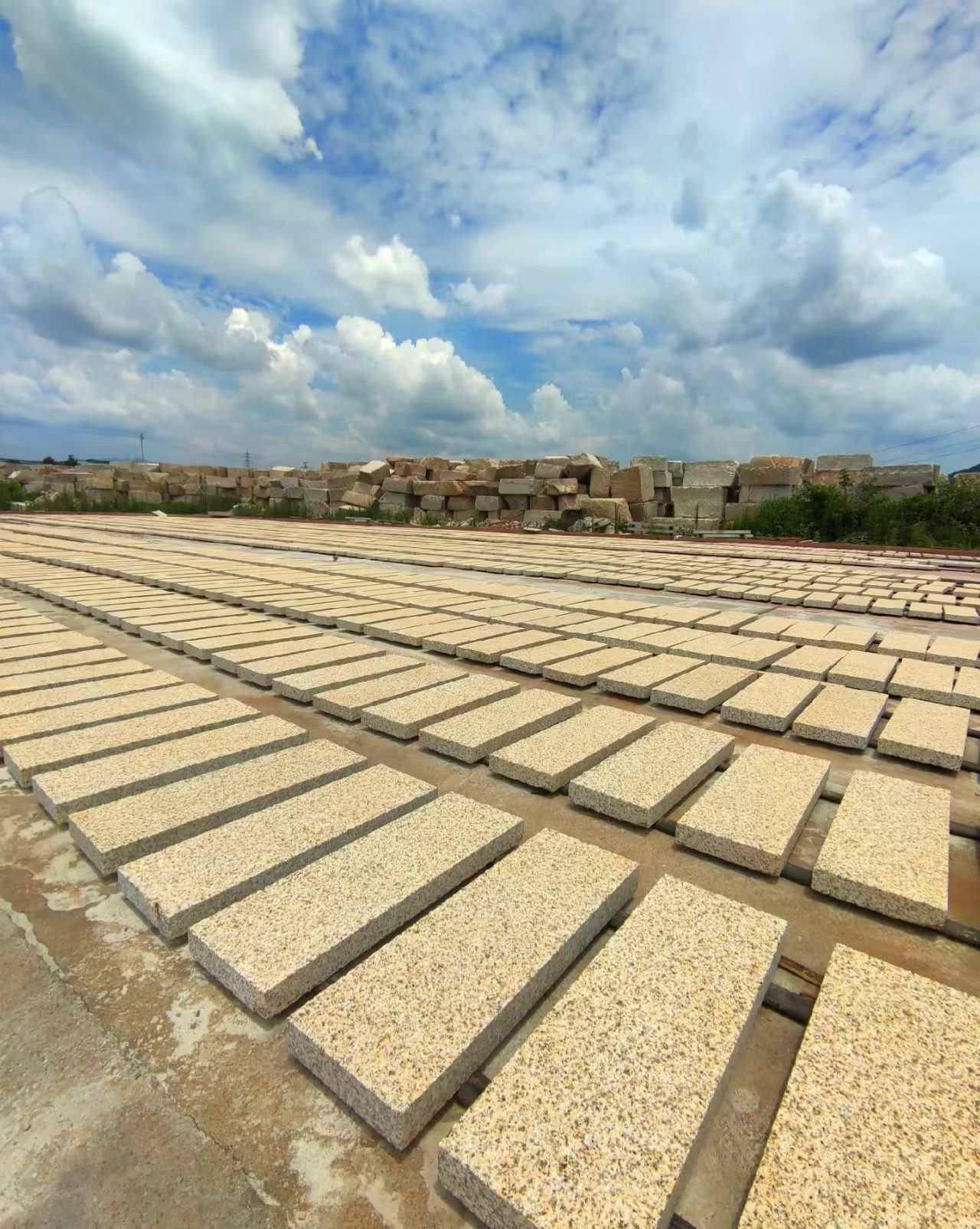 商洛 黄金麻花岗岩荔枝面地铺石防护中